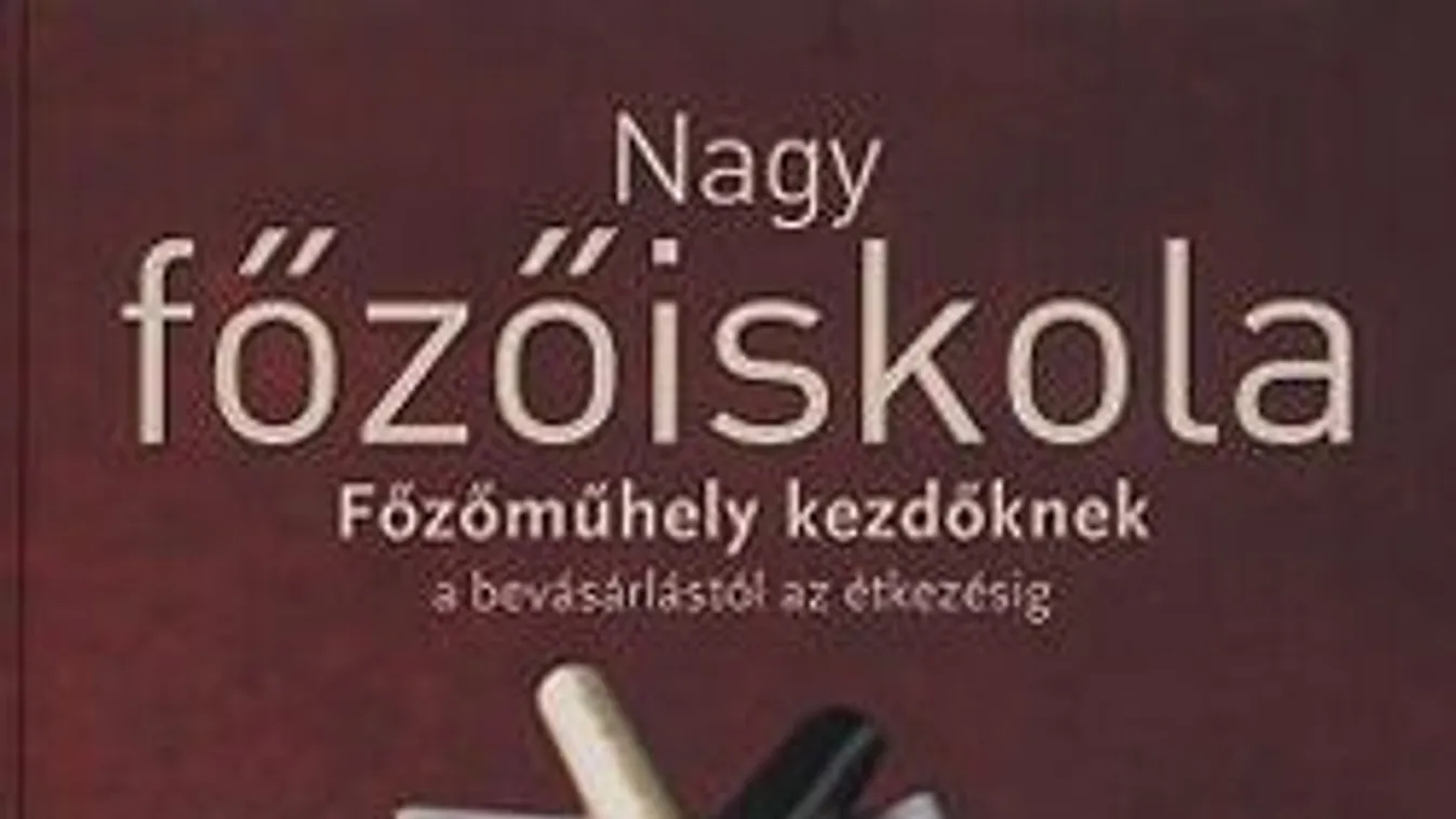 Az antikonyhatündér főzni tanul