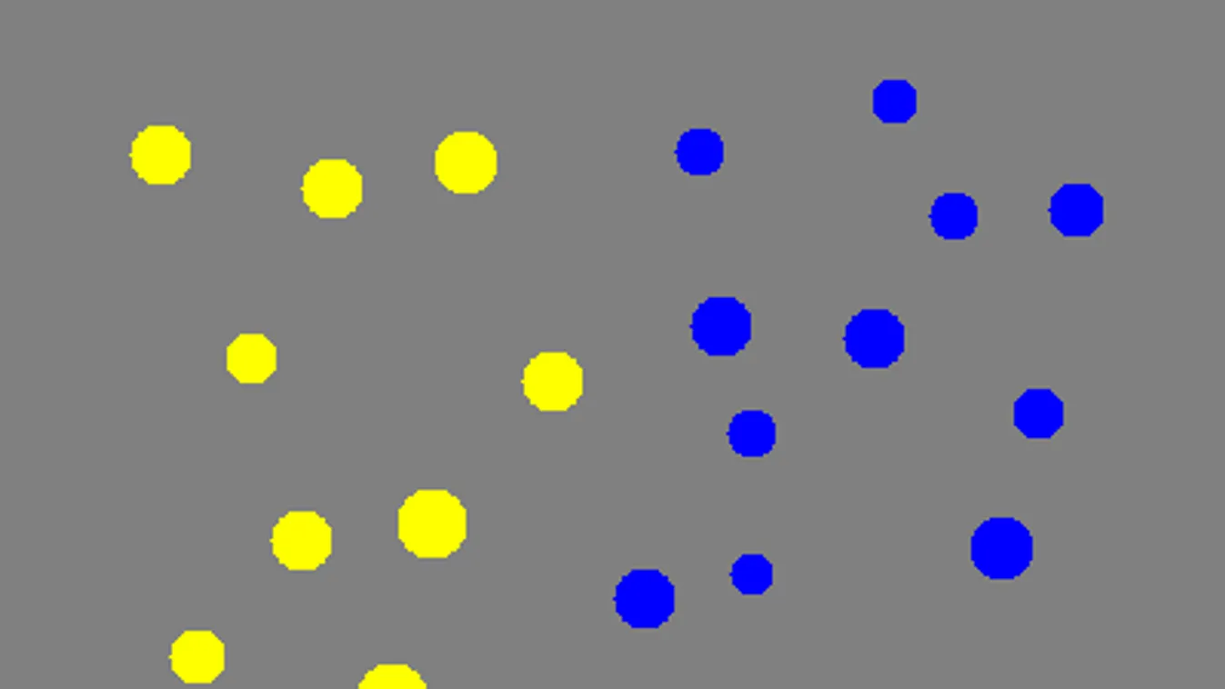 A matematikai képességek velünk születnek?