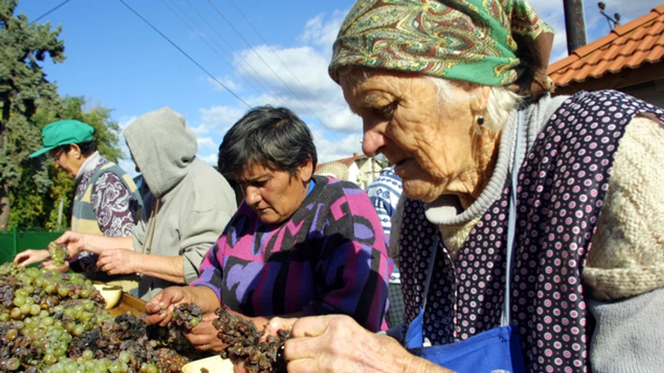 Tokaj-Hegyalja rákapcsol a turizmusra