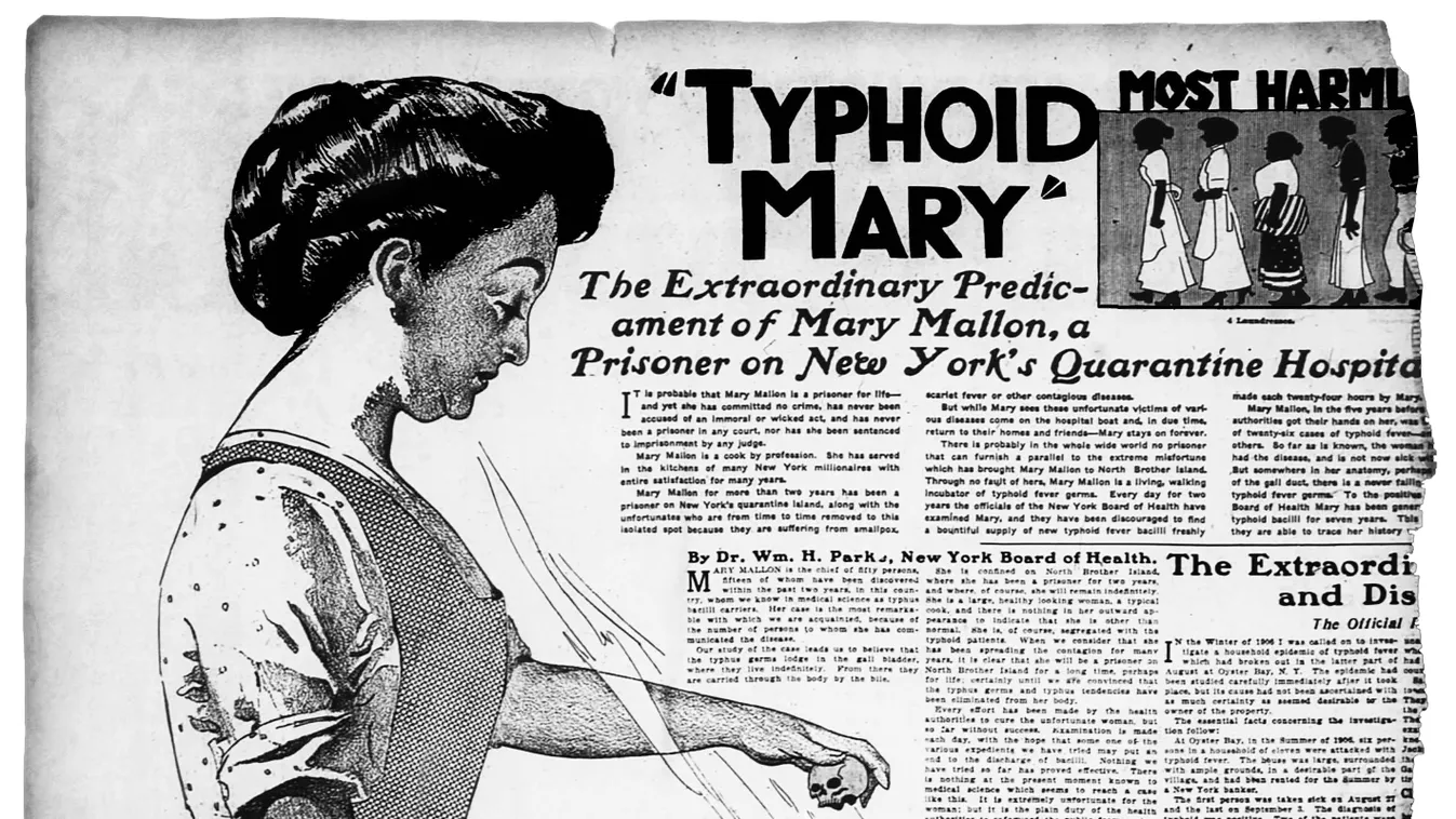 A láthatatlan gyilkos – Tífuszos Mary története