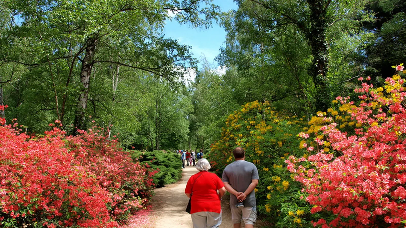 Jeli arborétum májusban