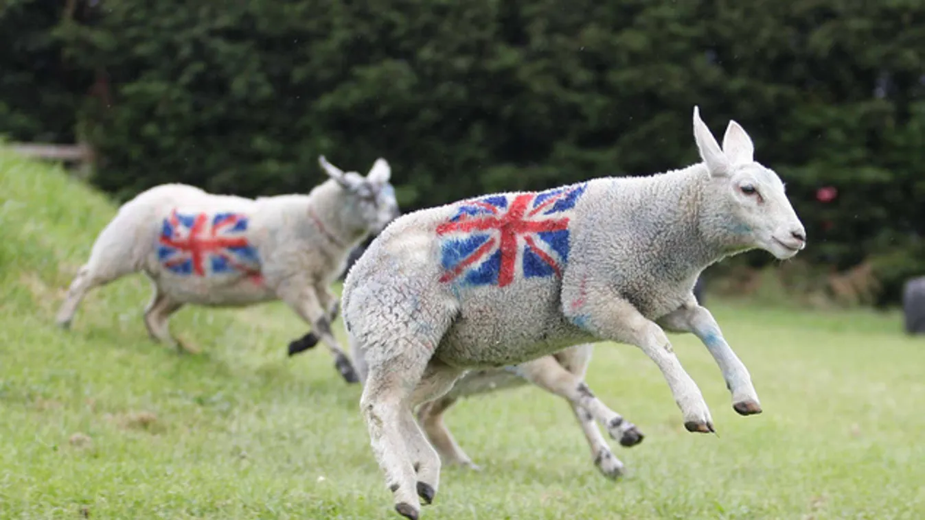 Milliók ünneplik a királynő jubileumát Londonban