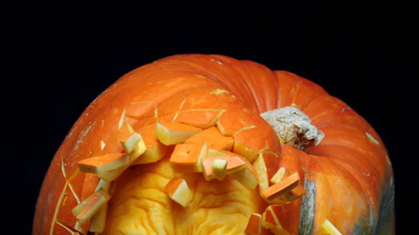 Nézegessen tököket, itt a halloween!
