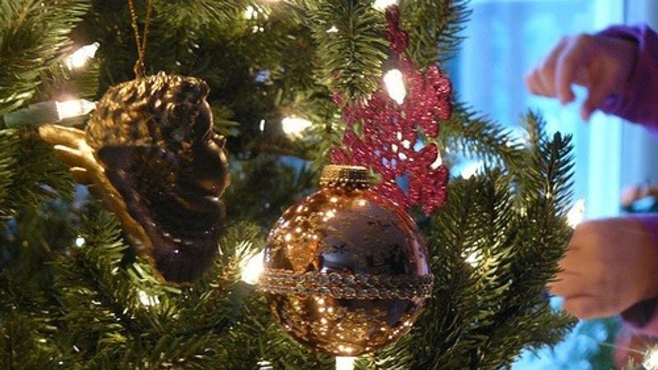 https://cdn.borsonline.hu/2012/12/jcBP-T8fh8JqRMjzGNDuX88yrnqPbxYafLS1pjslCiM/fill/1347/758/no/1/aHR0cHM6Ly9jbXNjZG4uYXBwLmNvbnRlbnQucHJpdmF0ZS9jb250ZW50LzU2ZDlhMWY3YjRlNzRjZDZiYjU3YmExZTU4YzBkZWU4.jpg