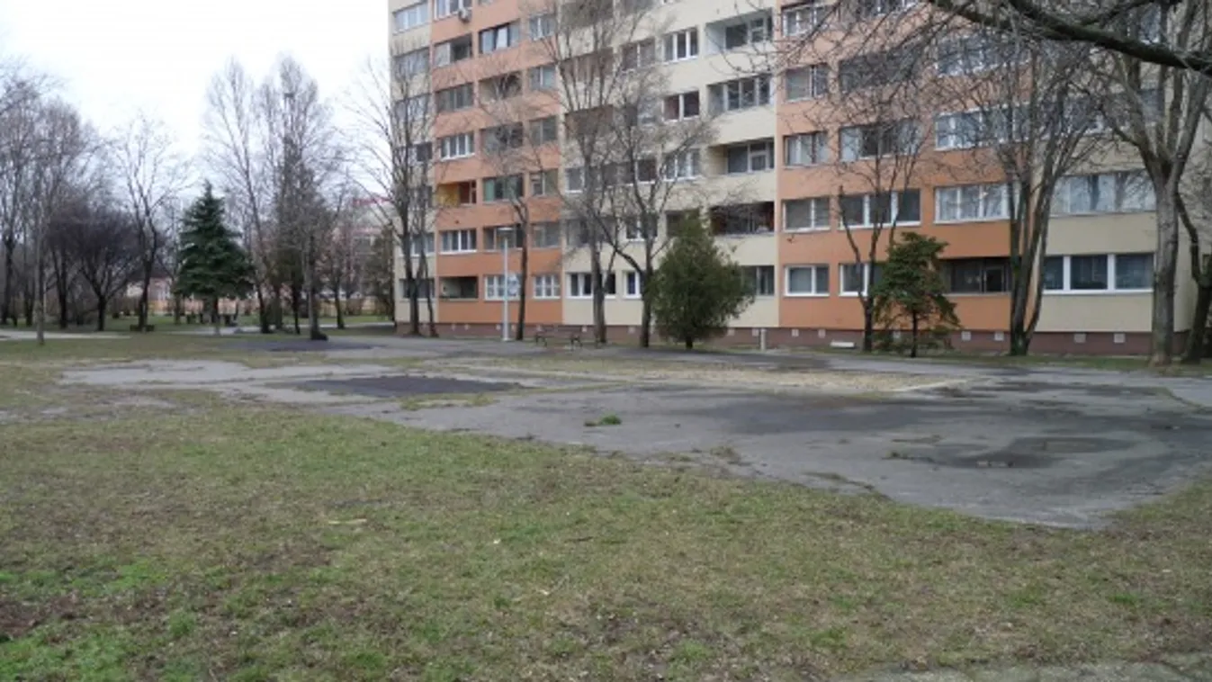 Paradicsomot fogok termeszteni a panelházak között