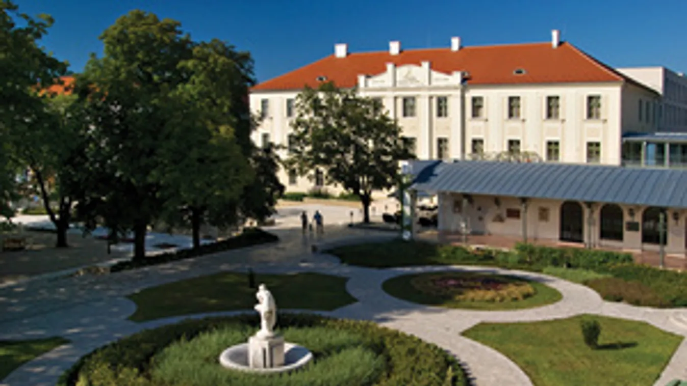Élmény, utazás a Balaton partjára