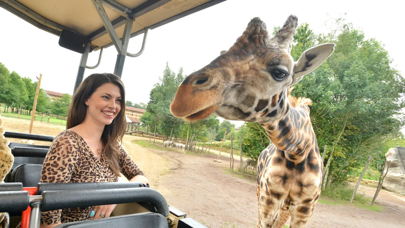 Tilos a leopárdmintás ruci!