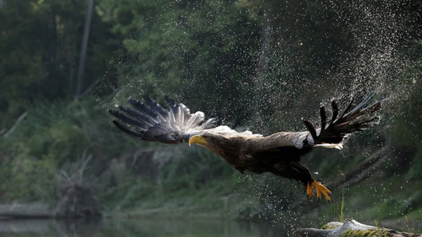 Gyönyörű NatGeo-s fotók a Dunáról