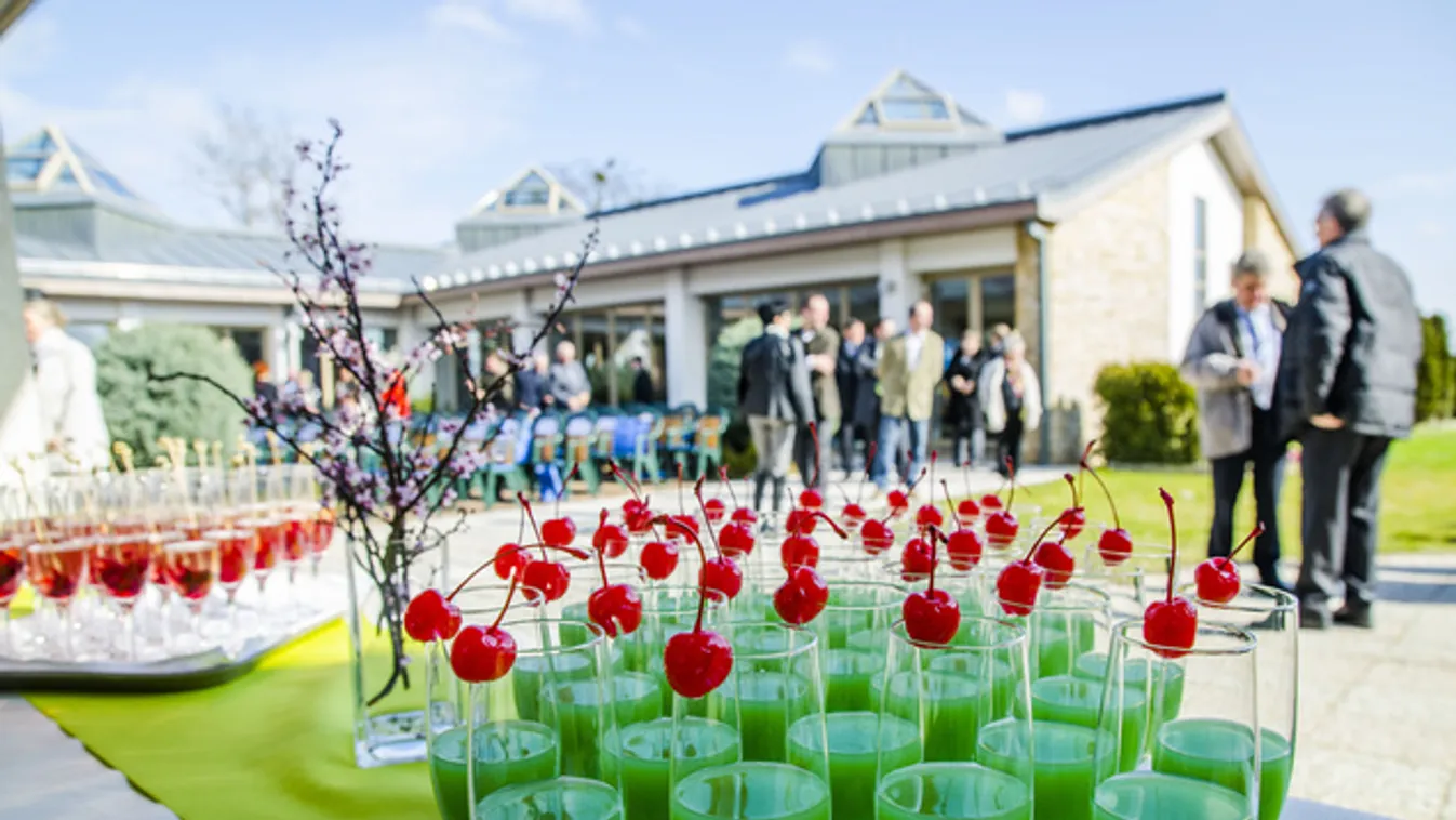Kígyócsúszda és hanami spa a Kolping Hotelben
