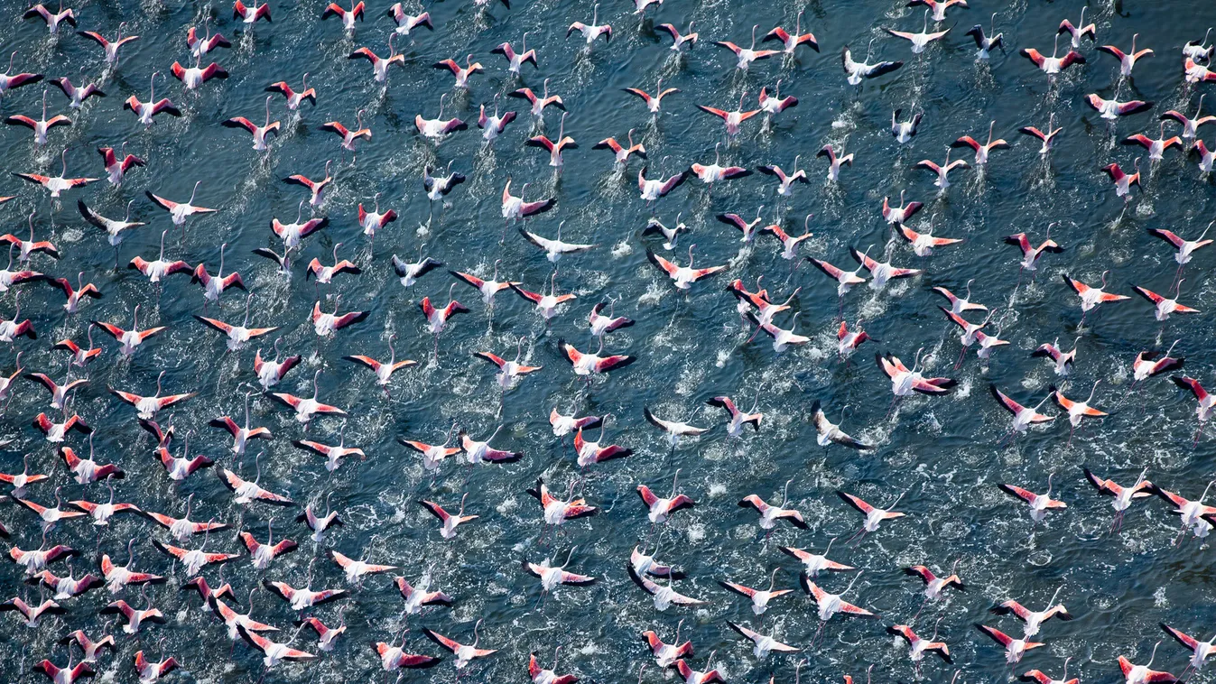 Flamingók és nyaralók madártávlatból