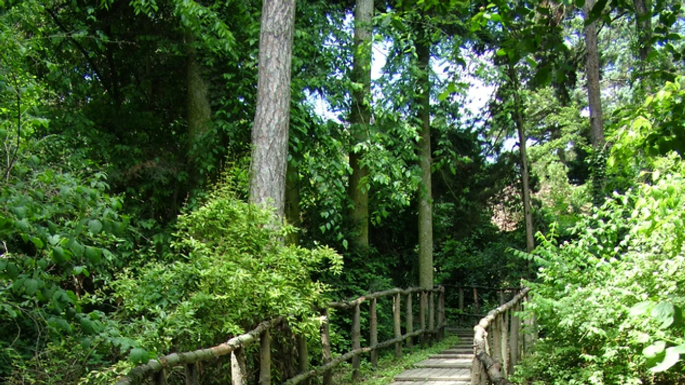 Közel 120 millióból újult meg a Szarvasi Arborétum