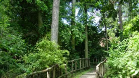 Közel 120 millióból újult meg a Szarvasi Arborétum