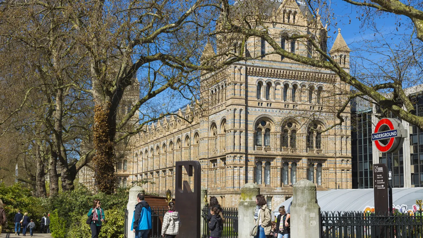 Töltsön el egy napot Londonban ingyen!