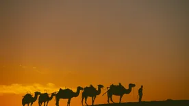 Látványossággá fejlesztik a Selyemutat