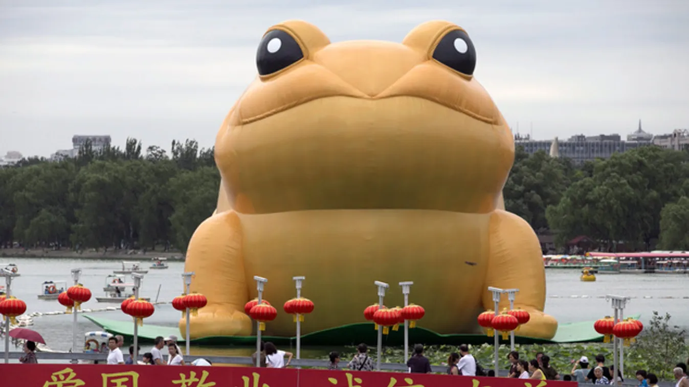 Gigantikus varangyosbéka ücsörög Pekingben