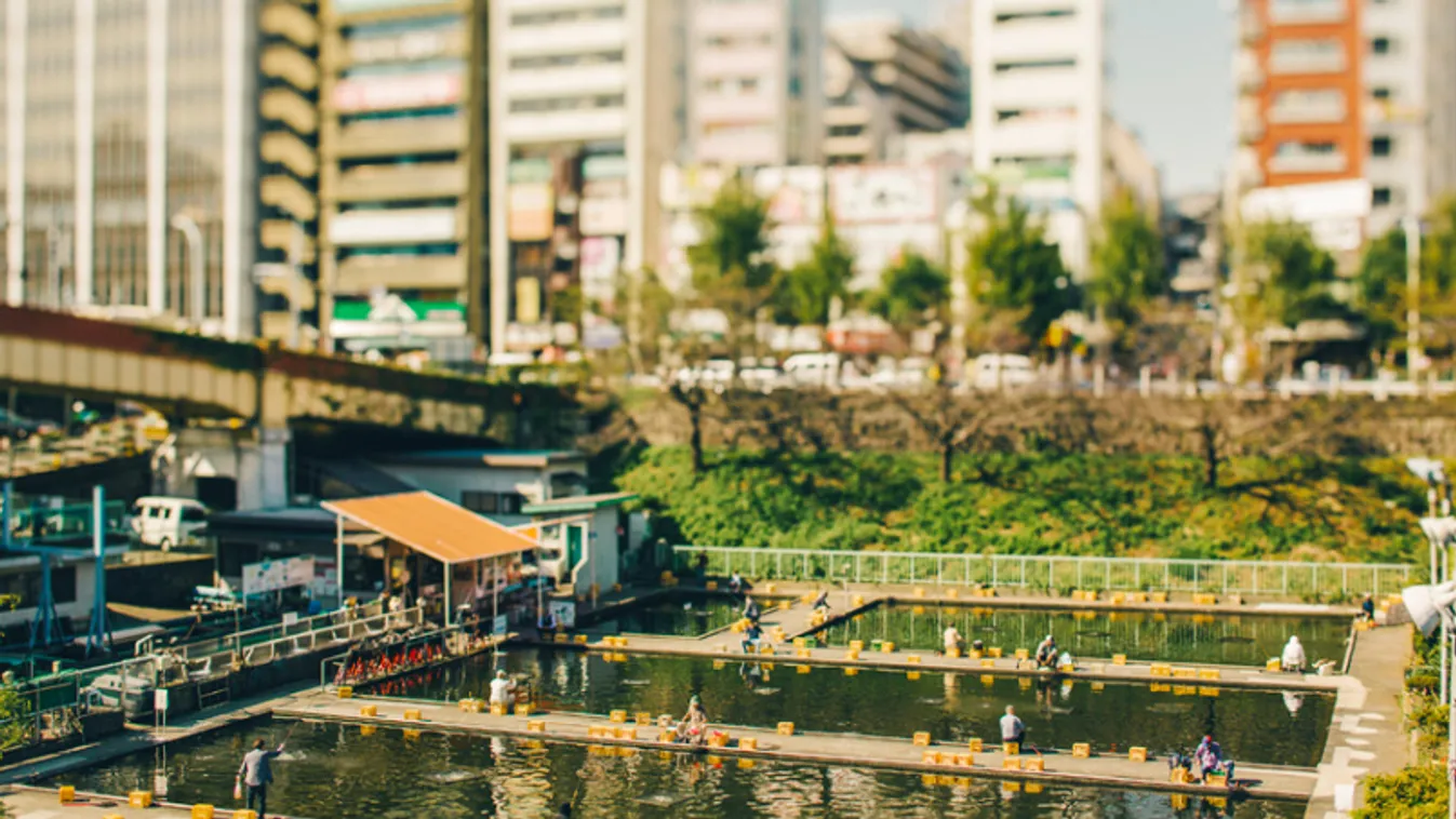 Tiny Tokyo