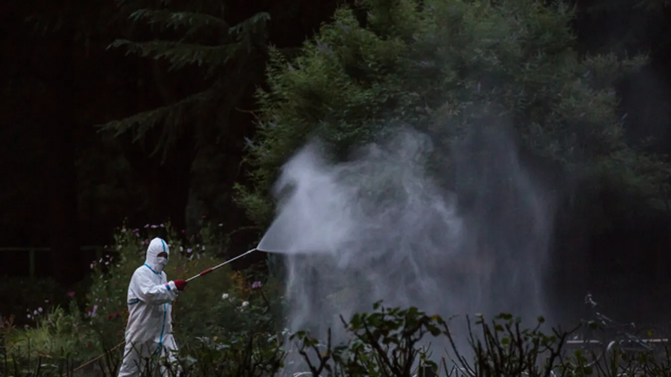 Dengue-láz miatt lezárták Tokió egyik népszerű parkját