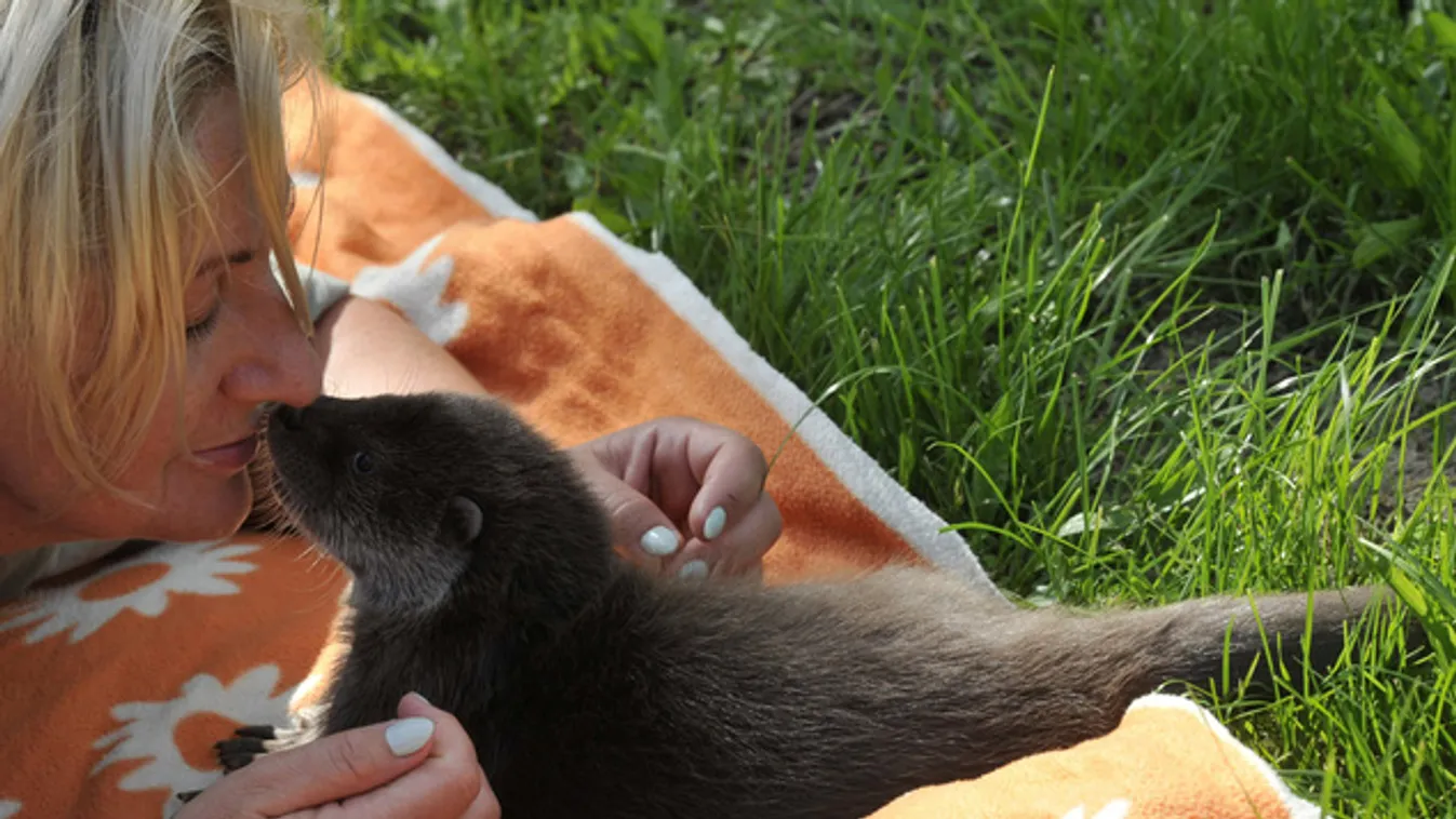 Nem járt még Lábodon a Petesmalmi Vidraparkban? Itt az idő!