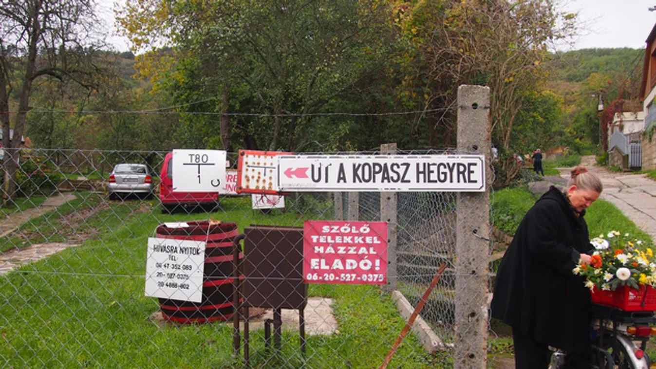 Mit ad nekünk Tokaj, ha nem borozunk?