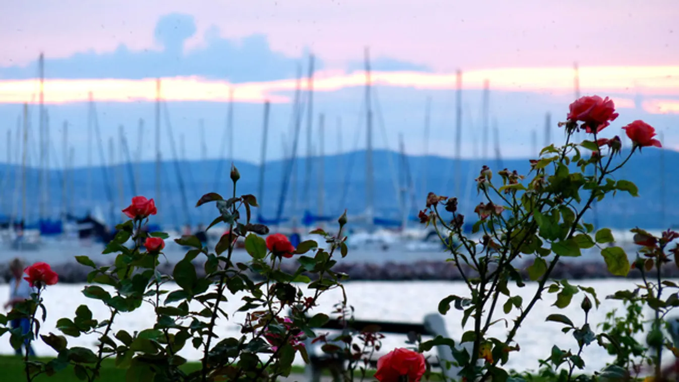 A Balatonnál vannak az ország legvirágosabb városai