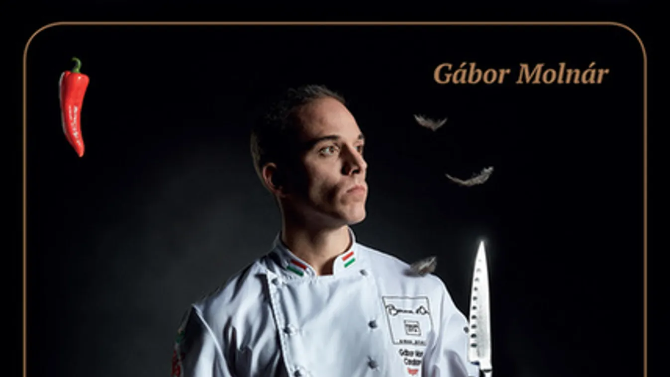 Bocuse d'Or 2015