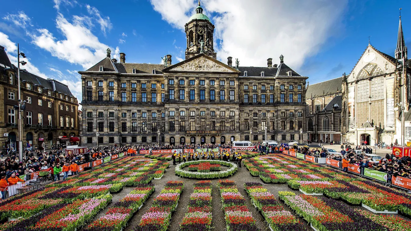 Tulipánba borult Amszterdam