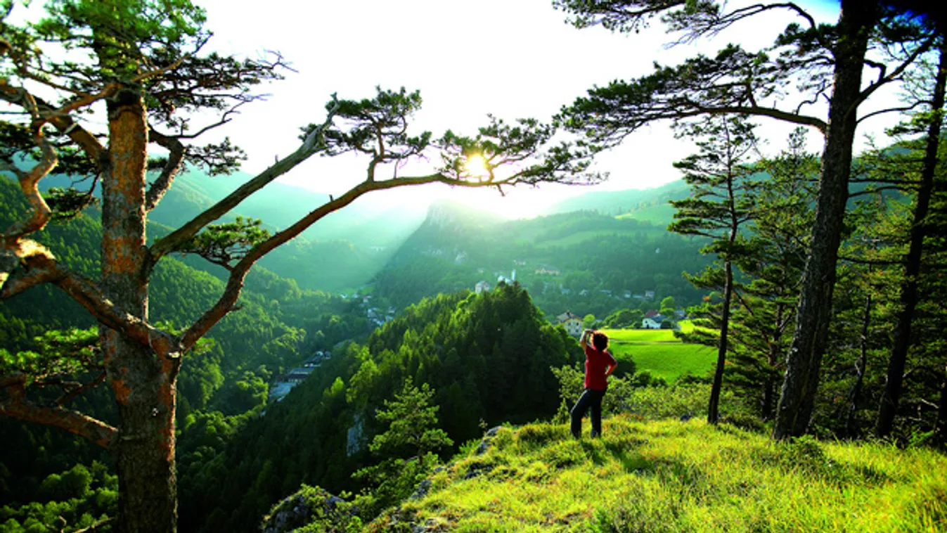 Túrázzon az Alpokban a 20-schillinges panorámáért!