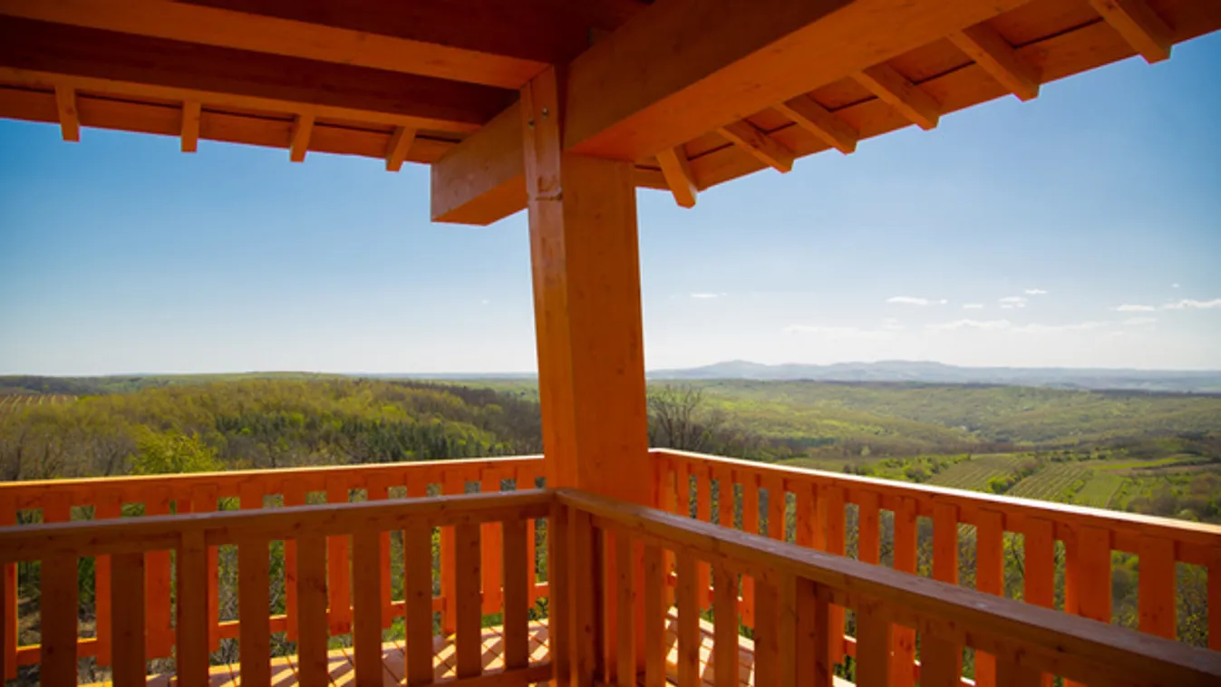 Szőlőtőke-panorámás kilátó épült Szekszárdon