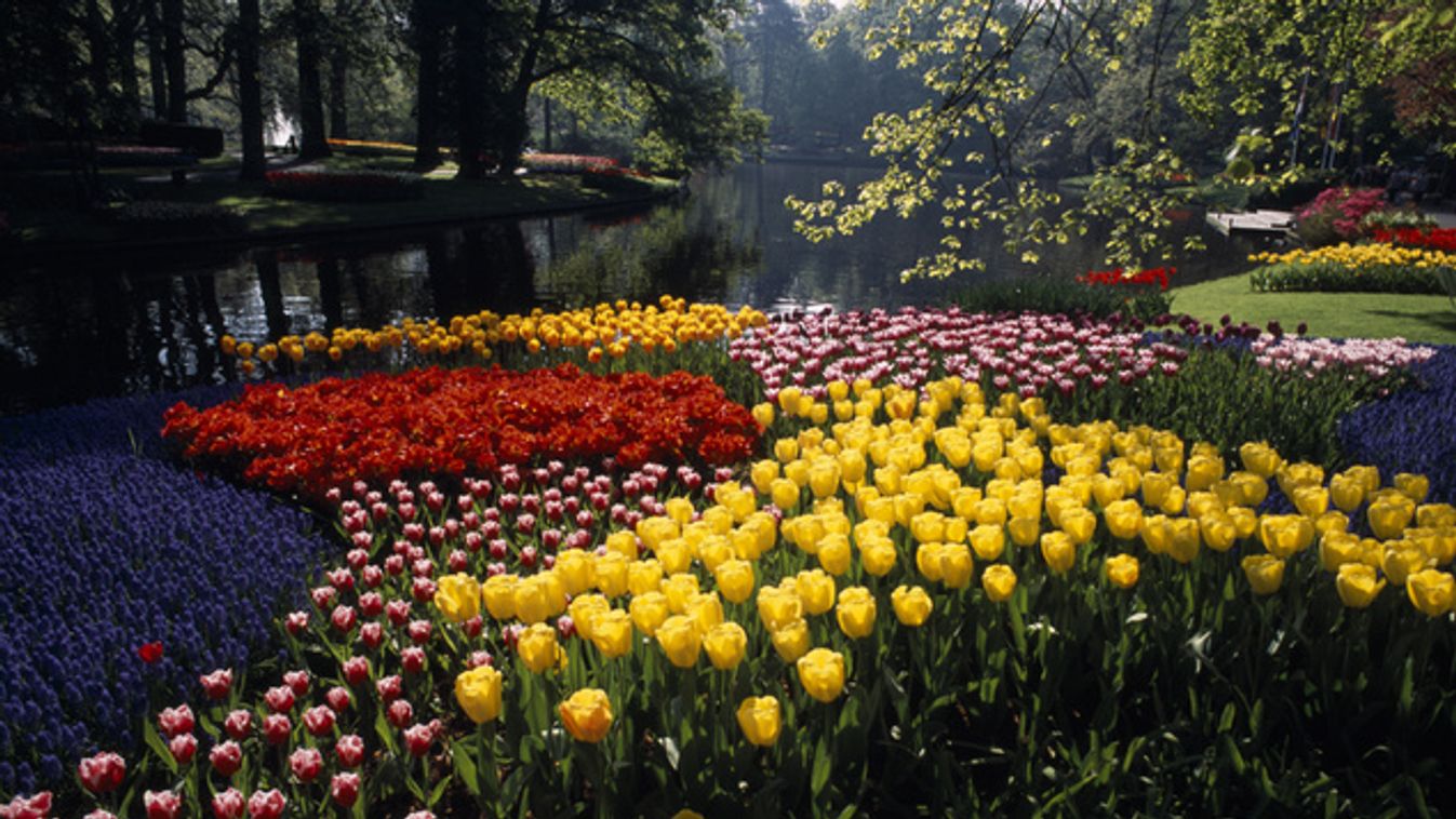 https://cdn.borsonline.hu/2015/04/bdz3yv-xyJzQ1-72XIGqCyUevNuCjLdK_a8wAXEaiu4/fill/1347/758/no/1/aHR0cHM6Ly9jbXNjZG4uYXBwLmNvbnRlbnQucHJpdmF0ZS9jb250ZW50LzYwZGRjNTMxMDk1NDQ5MzdhNDI2NDcxZGFlMzc4ZTgy.jpg
