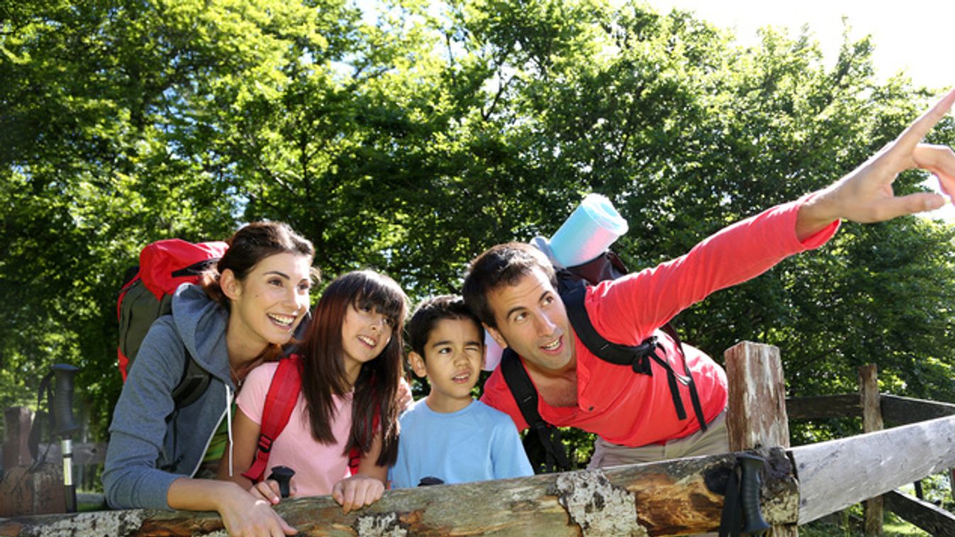 https://cdn.borsonline.hu/2015/05/0Dnwnvt-J3sXxxaM3iYCdX5iIdHJ2GZkowR92t2GZGs/fill/1347/758/no/1/aHR0cHM6Ly9jbXNjZG4uYXBwLmNvbnRlbnQucHJpdmF0ZS9jb250ZW50LzY1YzM1ZWE1ZDJiZjQ0ODQ5MjQ4ZjcxYjA3NTAwMDll.jpg