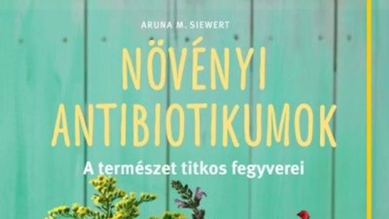 Vegyen be orvosi ajánlásra hagymát!