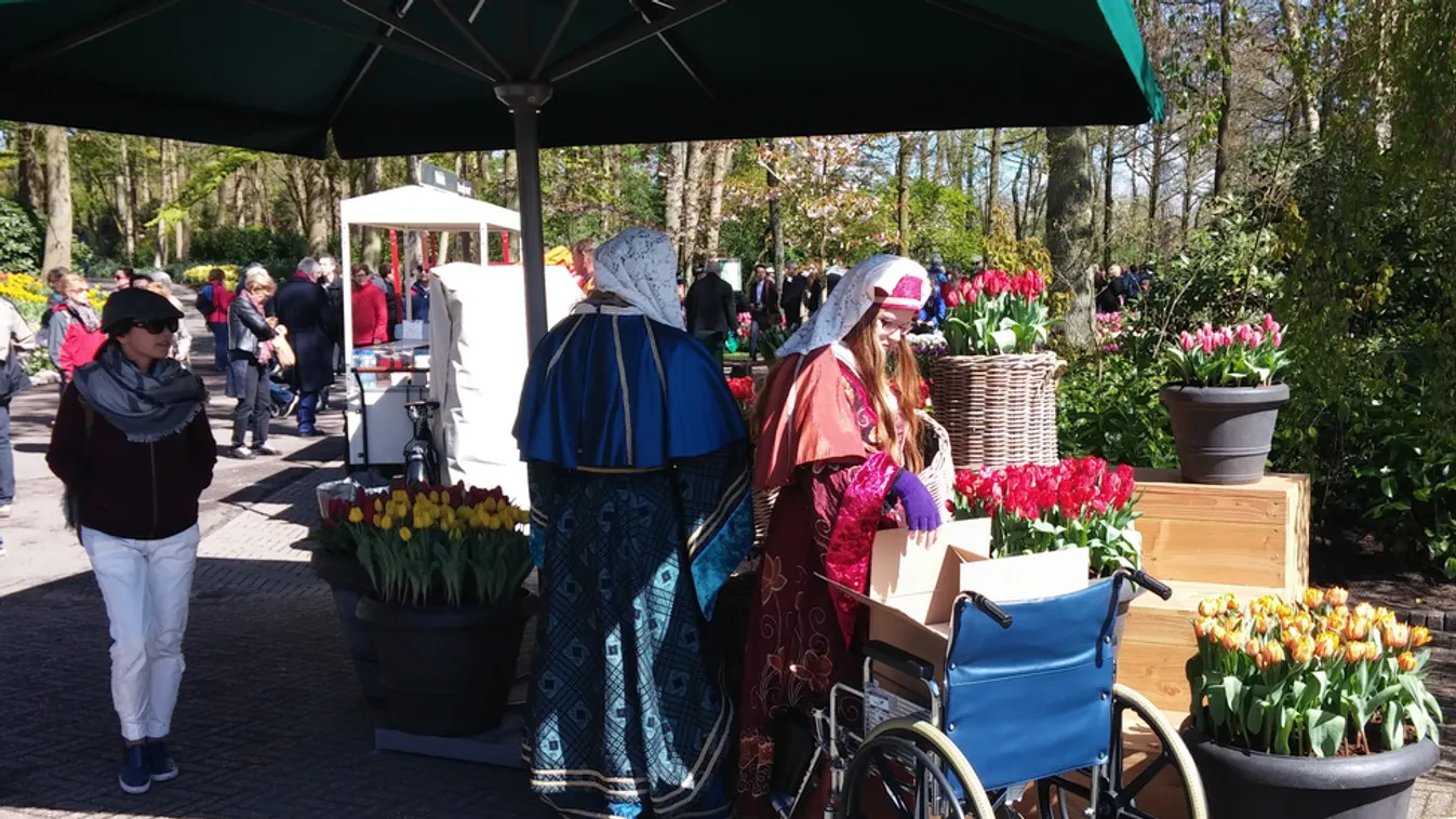 Keukenhof, a világ legszebb virágoskertje
