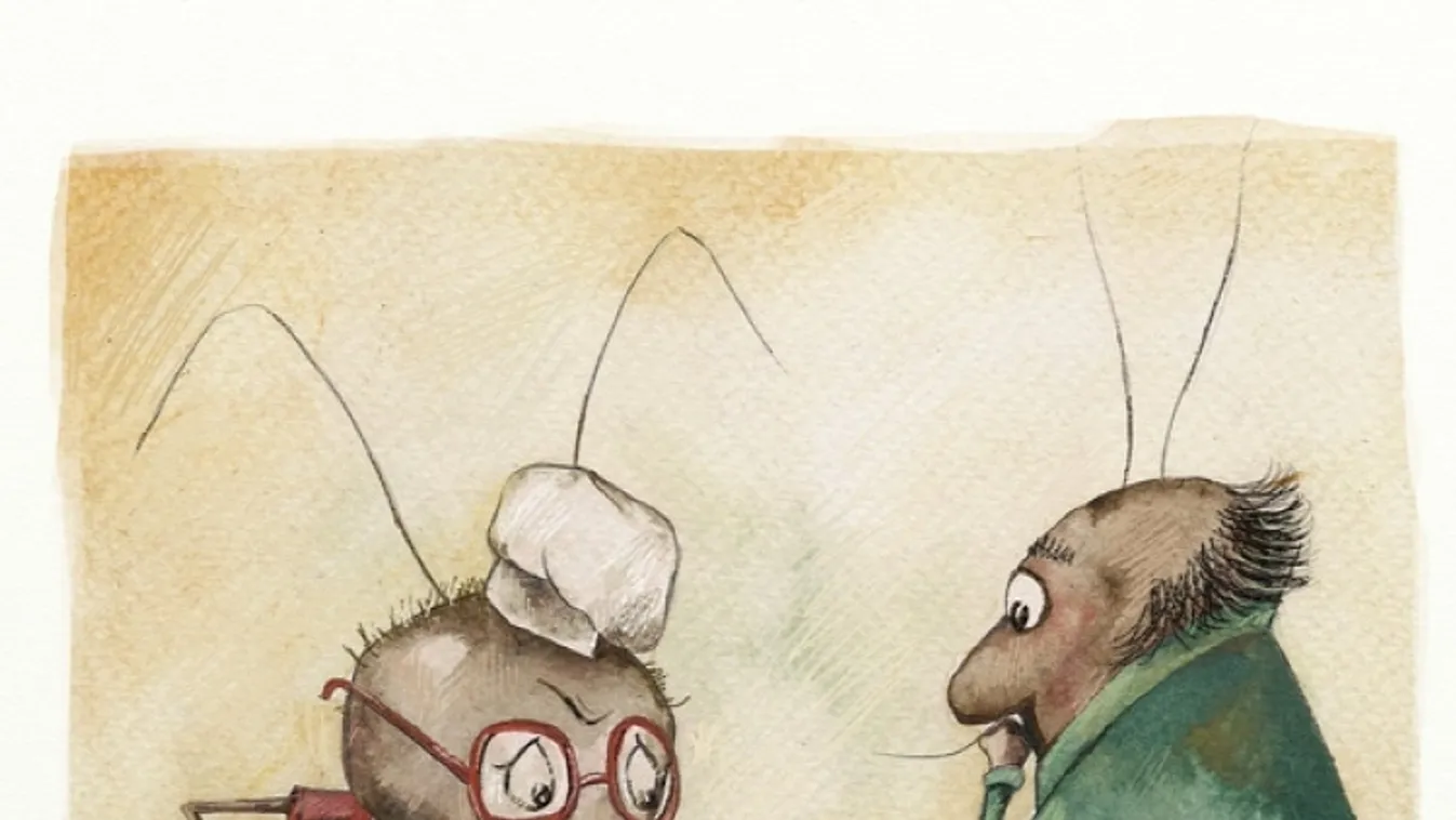 Pénteki mese: Tóth Ágnes: Mákszem