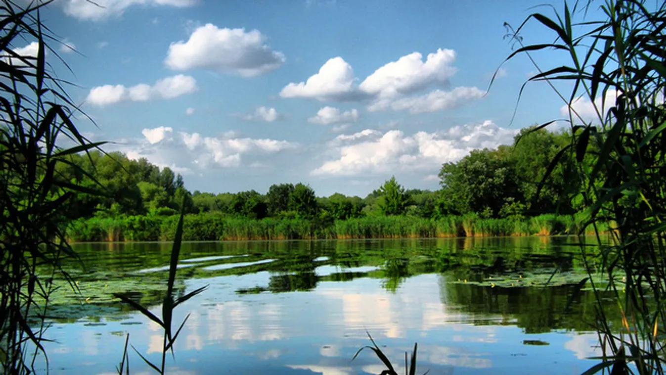 Tisza-tavi bringatúra műkedvelőknek