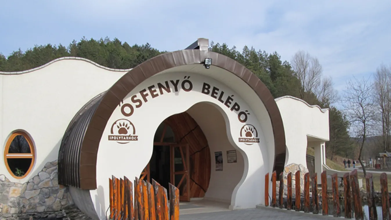 Újra látható a hatalmas fehér cápa Ipolytarnócon