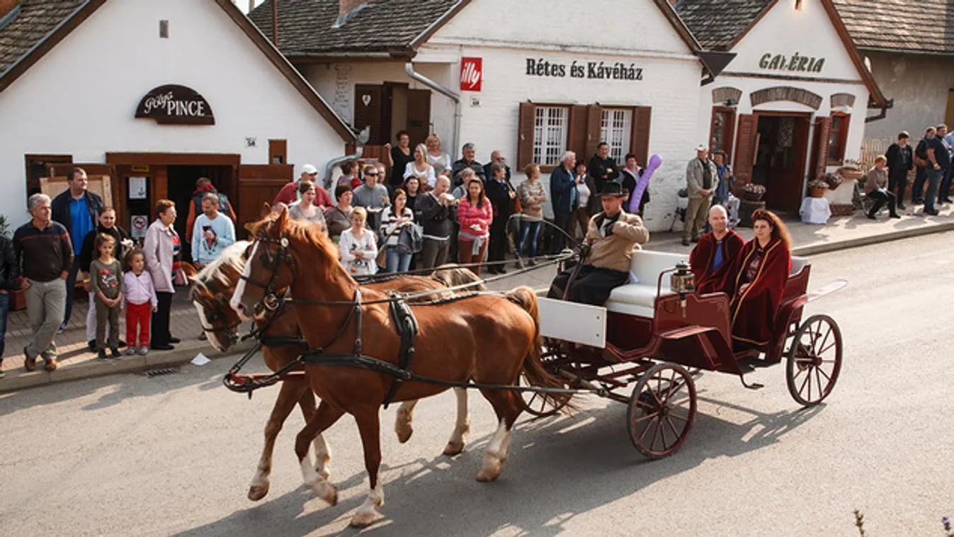 Vörösborfesztivált tartanak Villányban