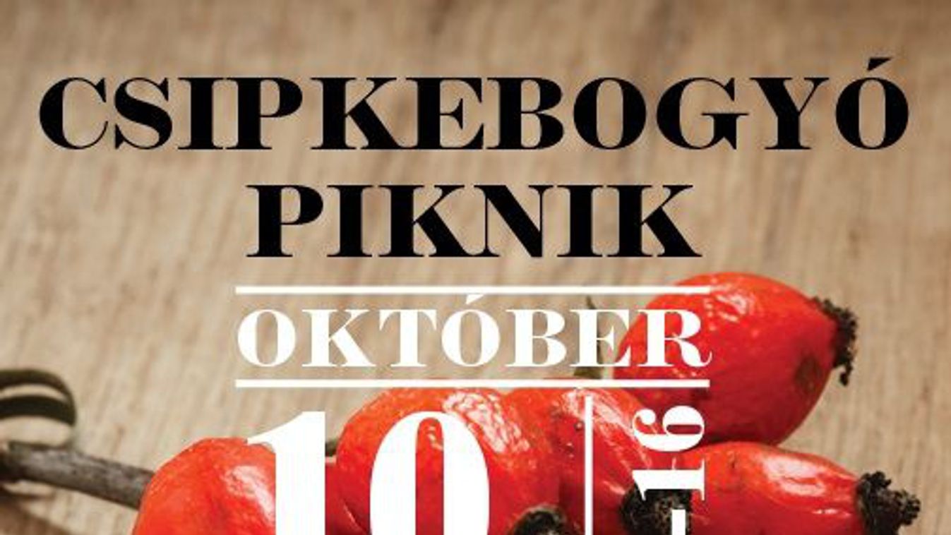 https://cdn.borsonline.hu/2015/10/GIXbbka5NG-BeJrJuEgLmJ3Hb9nGiOp-rbwfb9FcJOU/fill/1347/758/no/1/aHR0cHM6Ly9jbXNjZG4uYXBwLmNvbnRlbnQucHJpdmF0ZS9jb250ZW50LzE5MjA2ODU2OTM5NDRmNjJiNzA1NmEyMDFkMDZlNjZh.jpg
