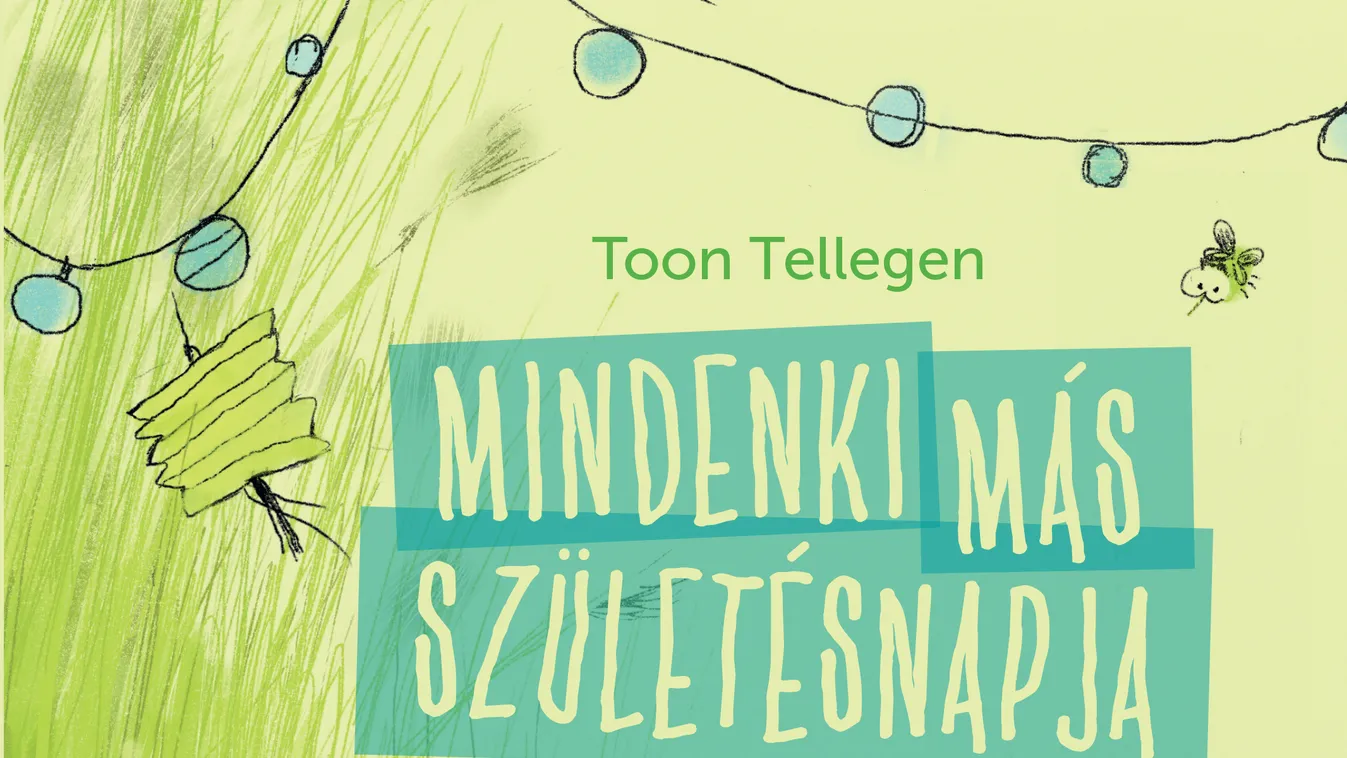 Toon Tellegen: Mindenki más születésnapja