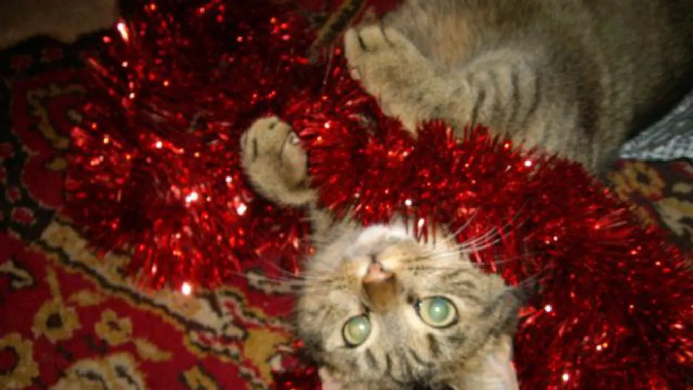 Díszítsünk fát! Meg magunkat.