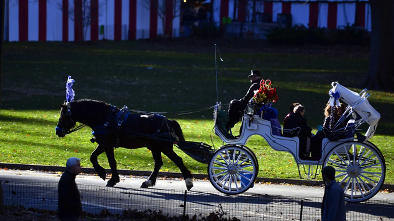 Kevesebb fiáker döcöghet a Central Parkban