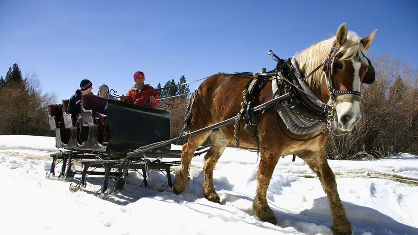 Télen is építhetünk csapatot a szabadban