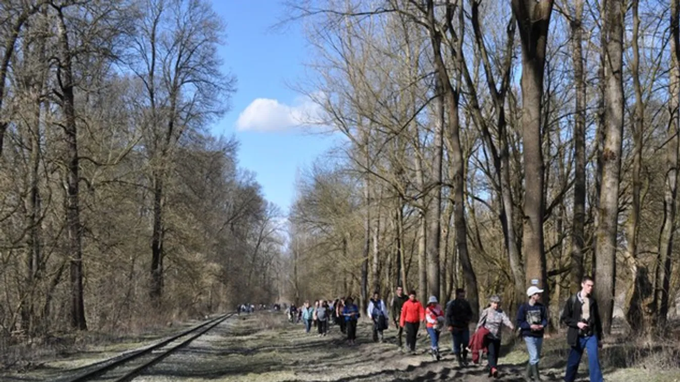 Nagyvadleső, télterelő túra a Gemenci erdőben