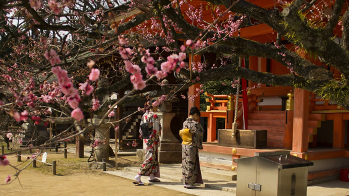 A japán tavasz nem a cseresznyefavirágzással kezdődik