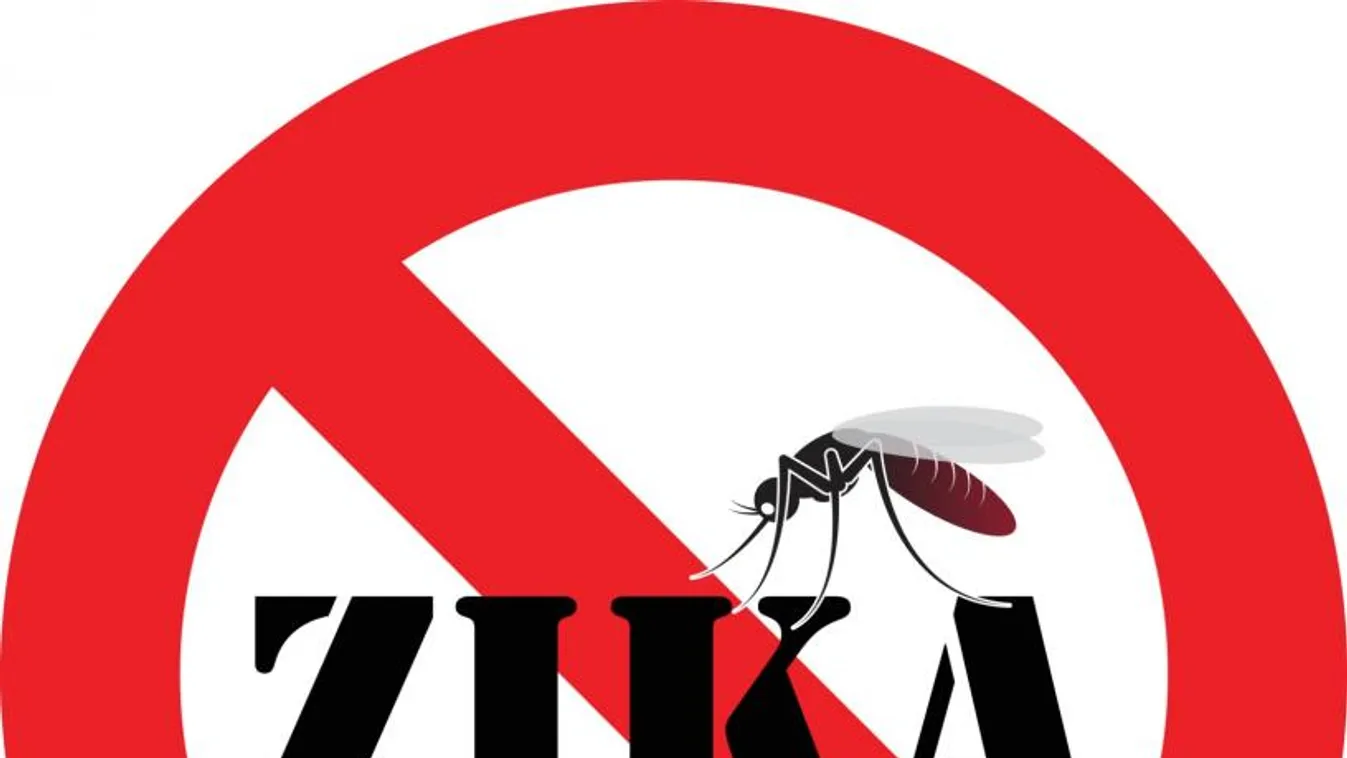 Nem is a Zika-vírus okozza a kisfejűséget?