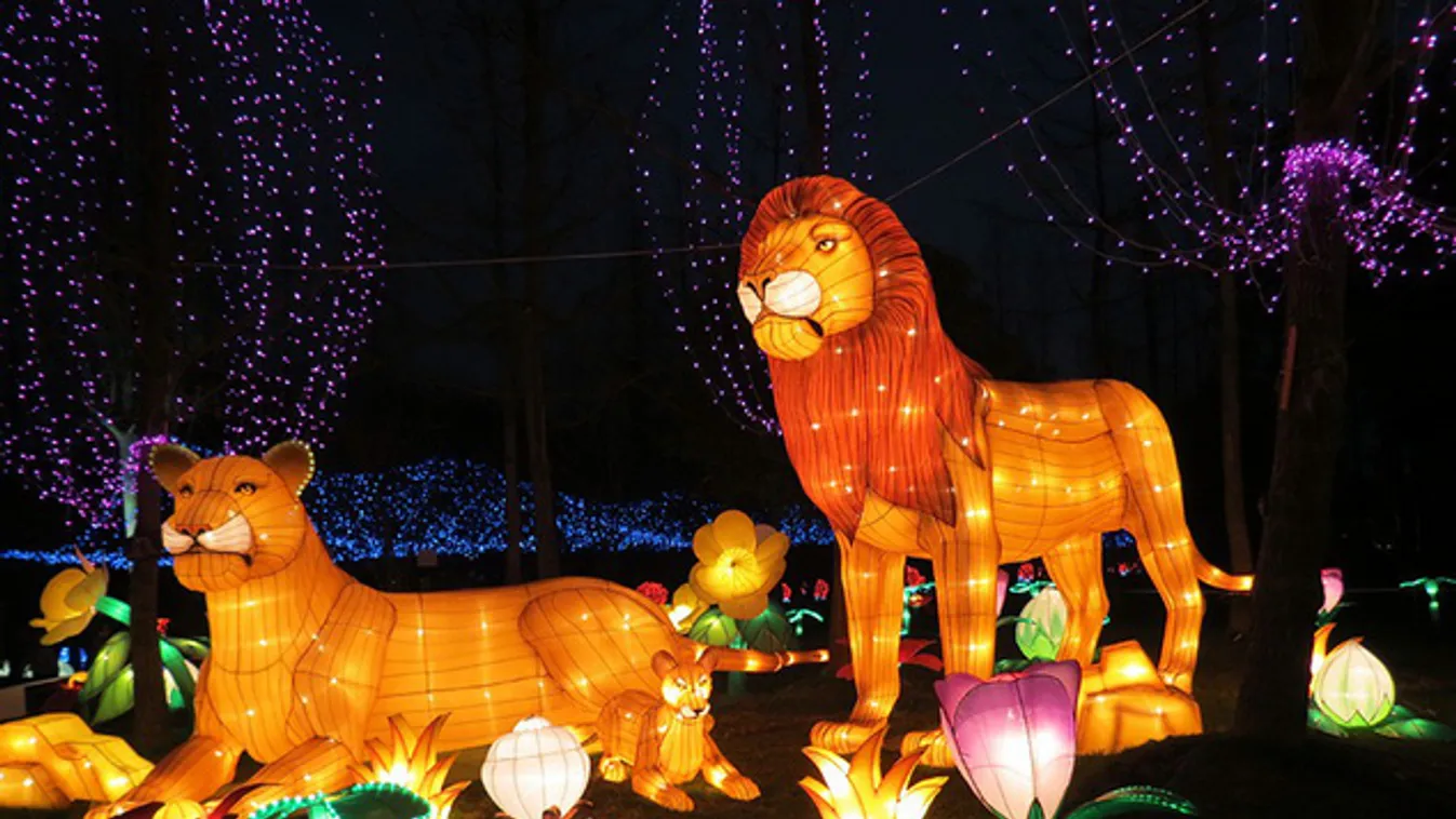 Színes lampionoktól pompázik esténként a fővárosi állatkert