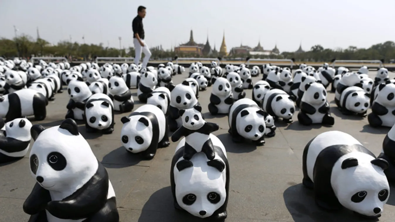 1600 panda lepte el Bangkok főterét