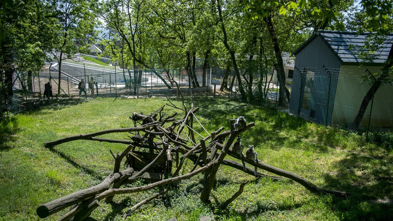 Május 20-án nyit a pécsi állatkert