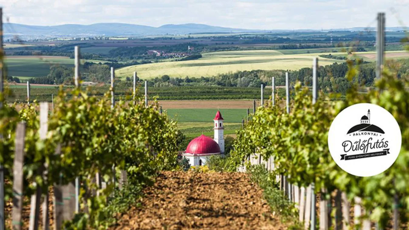 Dűlőfutás és boros afterparti Palkonyán