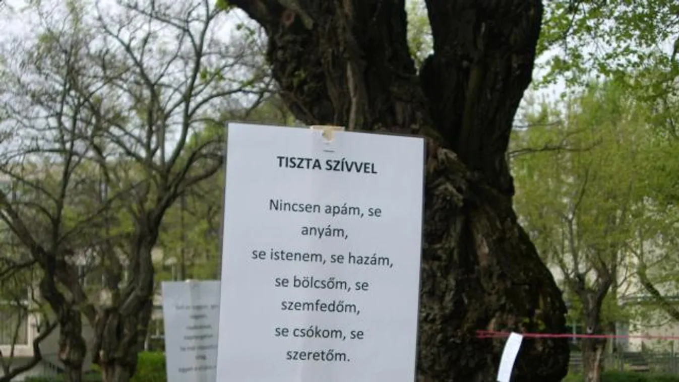 Valakik fejére ma versek és verstöredékek potyogtak