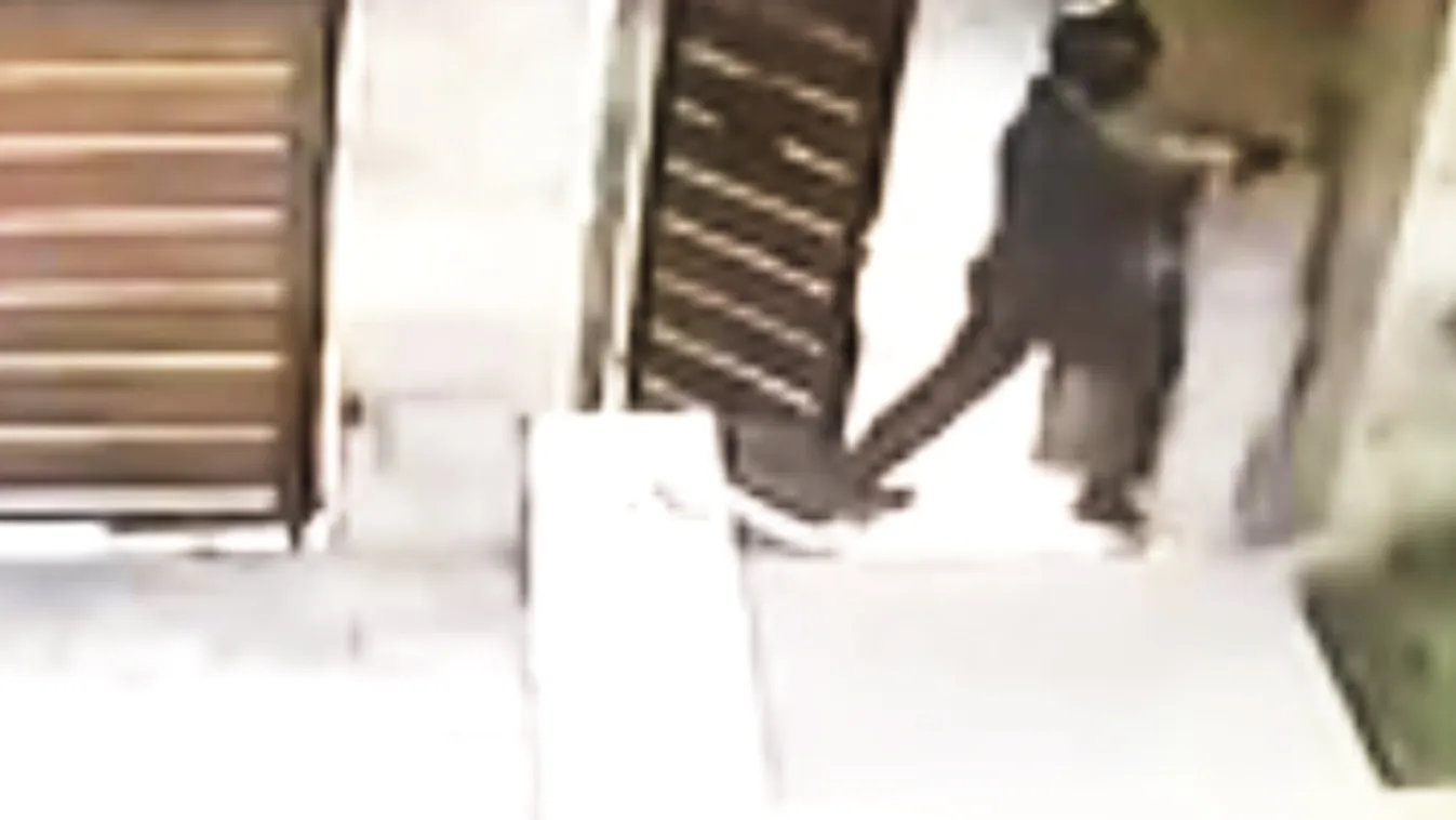 Gyilkossági kísérlet a volt SZDSZ-es házánál! sokkoló videó